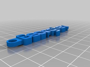 georgiev -mensagem de chaveiro organização personalizado 3d print model - Mito3D