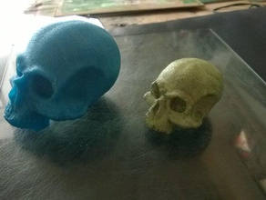 skull sculptures not real 3d print model - Mito3D