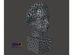 einstein bust voronoi style scans replicas albert lincoln meshlab meshmixer oliver laric sculpture statue 3d print model - Mito3D