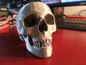 cráneo humano biología pla replicator 2 3d print model - Mito3D