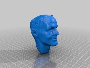 nozblob model robots foundinaba head human norrie scan 3d print model - Mito3D