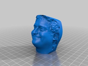 my 3d portrait dec 6 2012 scans replicas 3d print model - Mito3D