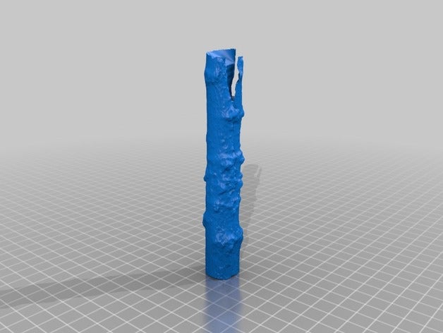le manioc numérisation 3d tests les analyses répliques 3D print model - Mito3D