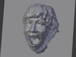 tshimura scanned face people 3d kinect ultimaker 3d print model - Mito3D