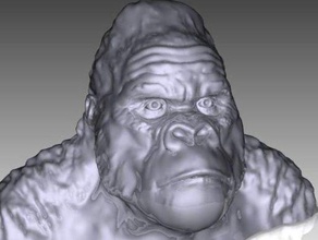 gorila busto esculturas 3d print model - Mito3D