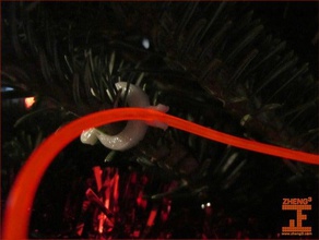 el fio árvore de natal clipe organização arduino notseej zheng3 3d print model - Mito3D
