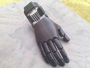 flexy-hand 2 people amputee cyborg beast e-nable hand prosthetic robohand protesis 3d print model - Mito3D