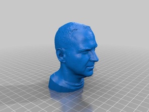 cory doctorows decimated head 3d printing people 3d print model - Mito3D