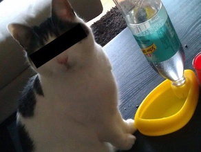 gatto a bere di stagno gli animali domestici la bottiglia ciotola mangimi acqua 3d print model - Mito3D