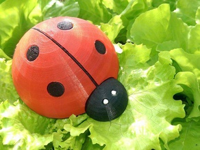 cute ladybug animals pen holder 3d print model - Mito3D