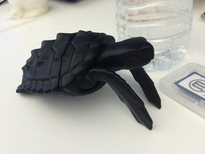 4gb art animal tortuga 3d print model - Mito3D