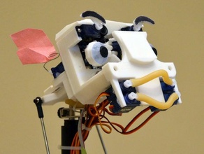 afectivo cabeza de robot la robótica 3d print model - Mito3D