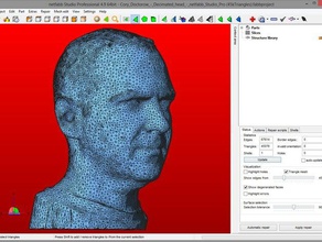cory doctorows decimated head 3d printing 45000 triangles people netfabb 3d print model - Mito3D