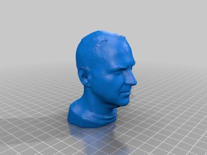 cory doctorows diezmado de la cabeza impresión en 3d 16000 triángulos personas netfabb 3d print model - Mito3D