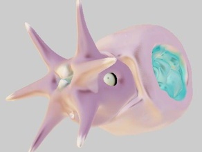 drshells criaturas amonita mar 3d print model - Mito3D
