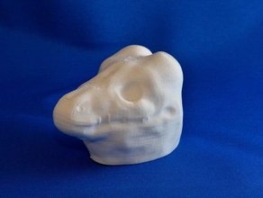 tête de dragon buste les créatures dinosaure le morceau robbinsvillehighschool crâne test 3d print model - Mito3D