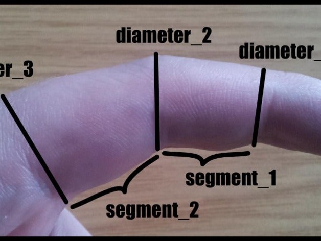 fingercast özelleştirilebilir biyoloji özelleştirici 3D print model - Mito3D