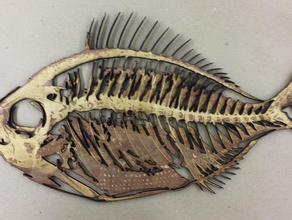 laser couper le poisson 2d l'art 3d print model - Mito3D