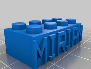 miriam 2x4 costruzione i giocattoli personalizzato 3d print model - Mito3D