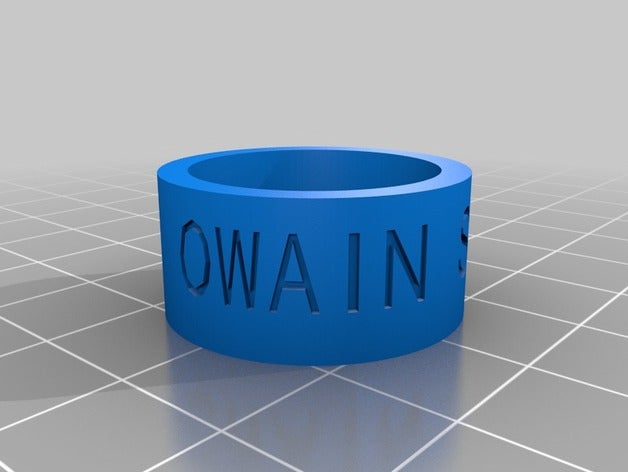 owain orilla woggle los anillos personalizado 3D print model - Mito3D