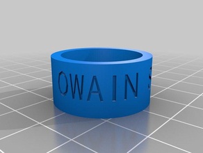 glyndwr costa woggle anelli personalizzato 3d print model - Mito3D