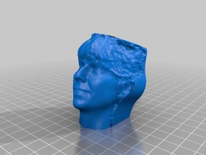 il mio 3d ritratto 27 dic 2012 le scansioni repliche 3d print model - Mito3D