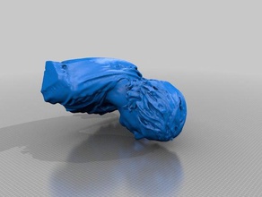tyler people 3d print model - Mito3D
