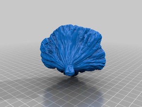 lotus pod getrocknet Biologie 3d-scan 3d print model - Mito3D