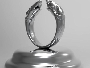 prop anello gioielli 3d print model - Mito3D