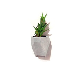 sfaccettato parete modulare fioriera arredamento cactus pot succulente 3d print model - Mito3D