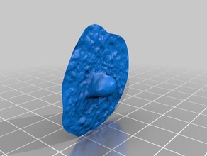 mein Fuß ball meinem Hof, wenn man die machen könnte Sie sehen mich kopieren, bitte 3d drucken cool 3d print model - Mito3D