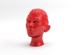 presse-papiers cerveau de la tête décor 3d print model - Mito3D