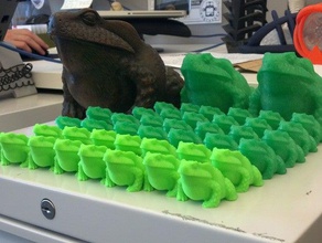 bullfrog taranan tablası hayvanlar biyoloji eğlenceli makerbotdigitizer 3d print model - Mito3D