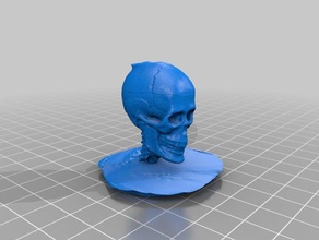 skull 3d scan biology human 3d print model - Mito3D