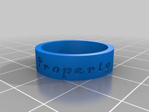 propiedad liz anillo los anillos personalizado 3d print model - Mito3D