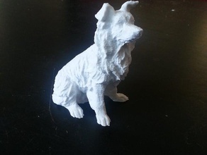 border collie Hund Tiere 3d print model - Mito3D