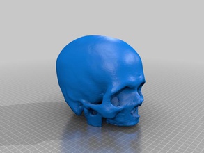 cleaned skull people bones ct data human 3d print model - Mito3D