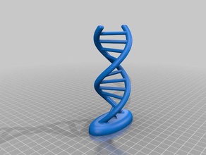 right-handed dna biology 3d print model - Mito3D