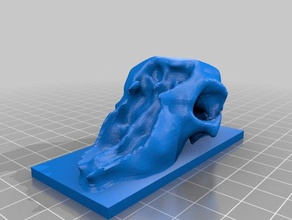 pecore cranio animali 3d modello la scansione supportless 3d print model - Mito3D