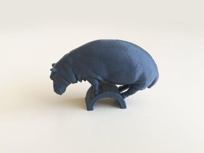 hippo andere 3d print model - Mito3D