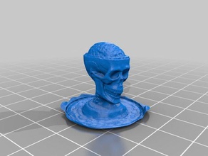 aprire il cranio, cervello biologia cranio umano 3d print model - Mito3D