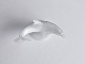 dolphin d'autres 3d print model - Mito3D