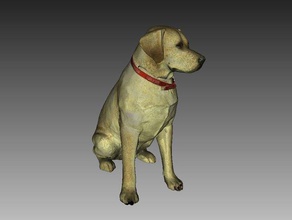labrador sculpture dog statue color 3d scan scans replicas animal artec 3d print model - Mito3D