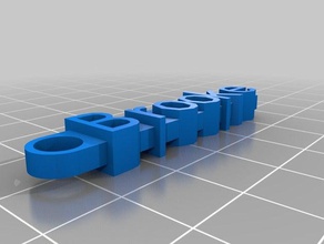 brookes llavero organización personalizado 3d print model - Mito3D