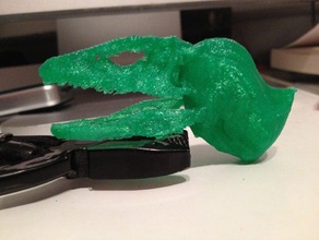 dinosauro cranio collo animali testa raptor 3d print model - Mito3D