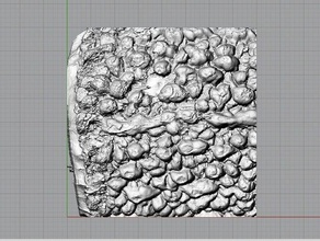 texture modello di melone amaro 3d la stampa test 3d print model - Mito3D