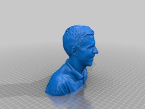 my scanned head scans & replicas 3d print model - Mito3D