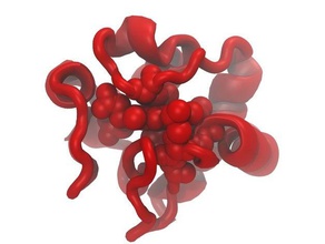 sitokrom biyoloji moleküler modeli protein veri bankası elektrokimyası 3d print model - Mito3D