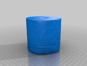 rollo de papel higiénico escaneo exploraciones las réplicas makerbotdigitizer 3d print model - Mito3D
