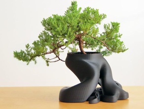 1100000 arasında üçgenler üzerinde bonsai ekici yeni hd modeli dekor ev 3d print model - Mito3D
